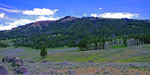 Speciman Ridge - Yellowstone