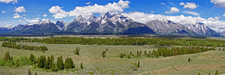 Grand Tetons from Point Turnout ~ Panorama