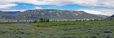 Along Soda Butte Creek ~ Yellowstone Panorama