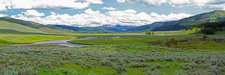 Yellowstone's Lamar Valley ~ Panorama